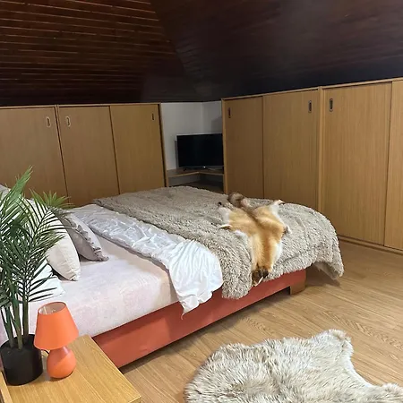 Villa Jana *